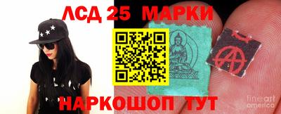 гидропоника Краснознаменск