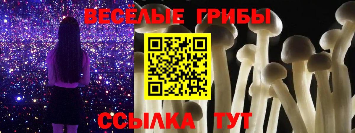 Галлюциногенные грибы Magic Shrooms  Вход с VPN  Тосно 