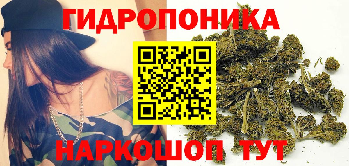 Тосно  Конопля конопля  Шишки марихуана тримм  Вход с VPN  Каннабис LSD WEED 